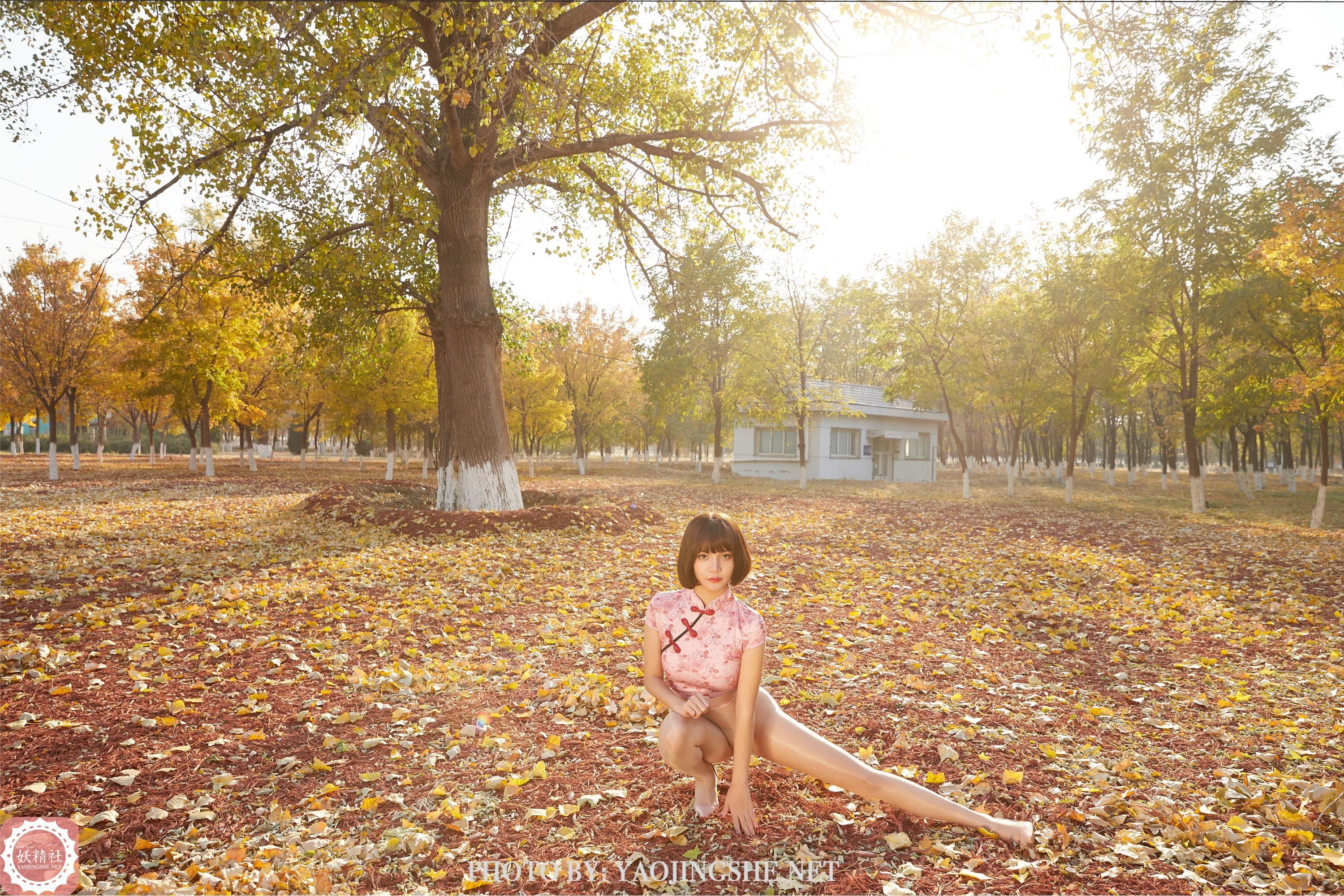 妖精社  2021.01.24 T2103《太极小宗师》唐飞飞